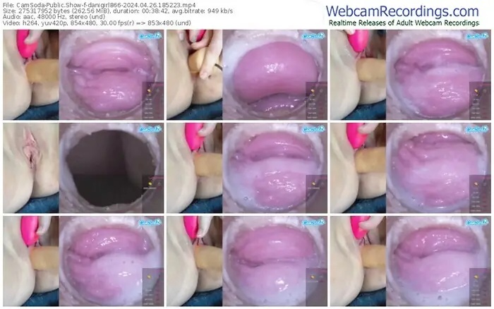 2024/04/26/camsoda-danigirl866-18-52-23