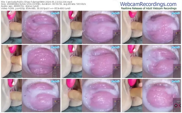 2024/05/13/camsoda-danigirl866-01-12-34