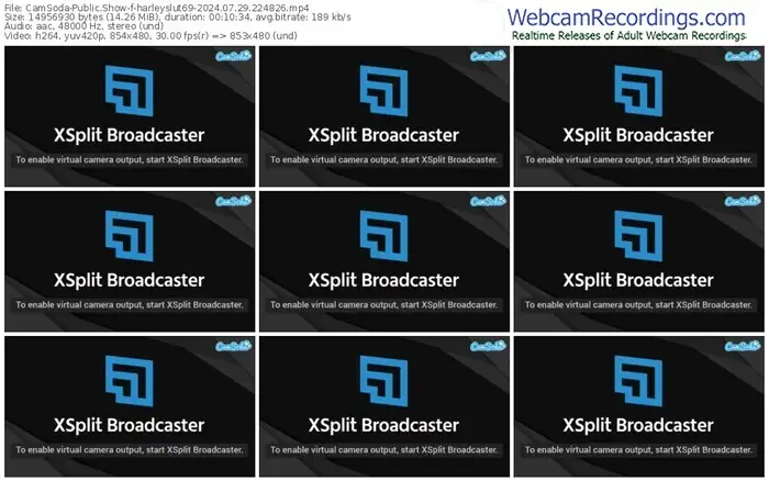 2024/07/29/camsoda-harleyslut69-22-48-26