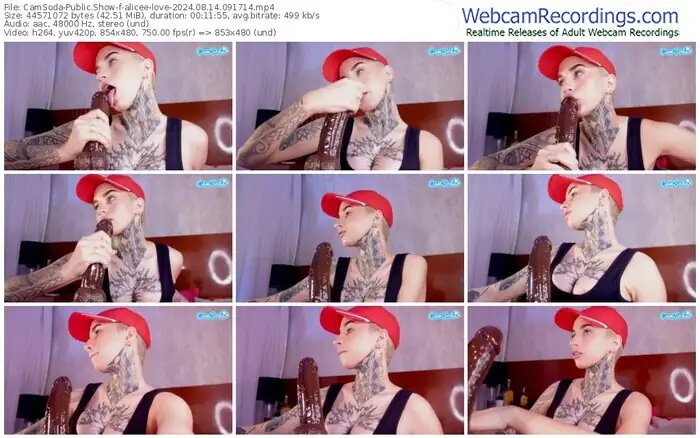 2024/08/14/camsoda-alicee-love-09-17-14