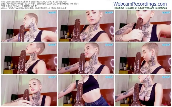 2024/08/14/camsoda-alicee-love-11-04-26