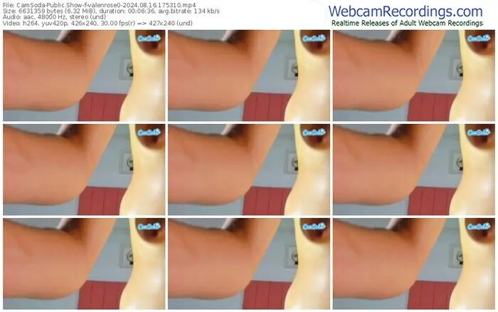2024/08/16/camsoda-valenrose0-17-53-10