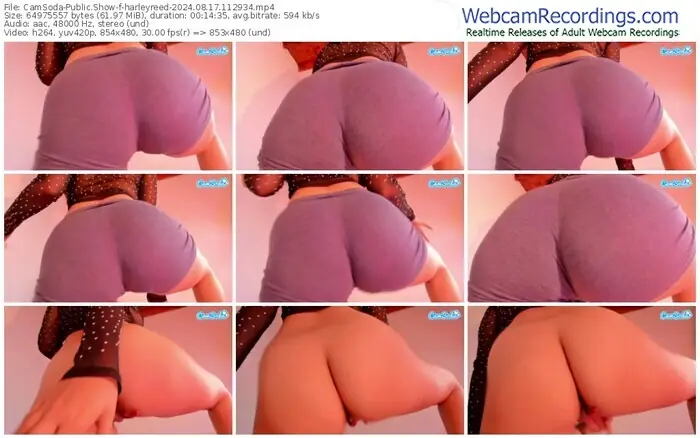 2024/08/17/camsoda-harleyreed-11-29-34