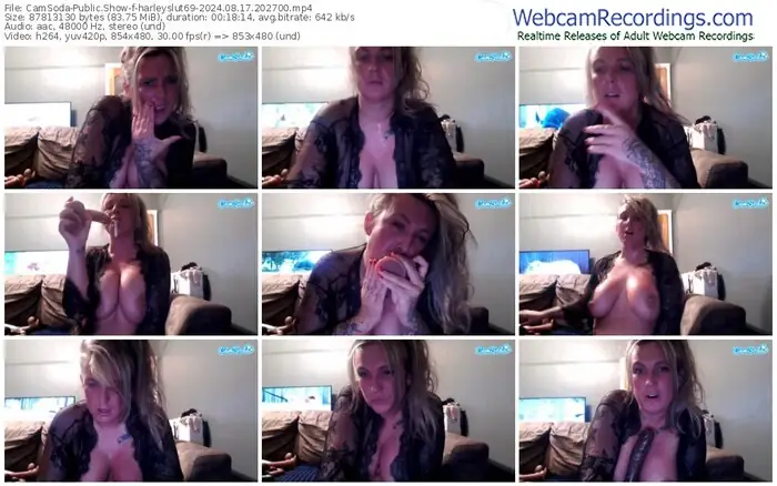 2024/08/17/camsoda-harleyslut69-20-27-00