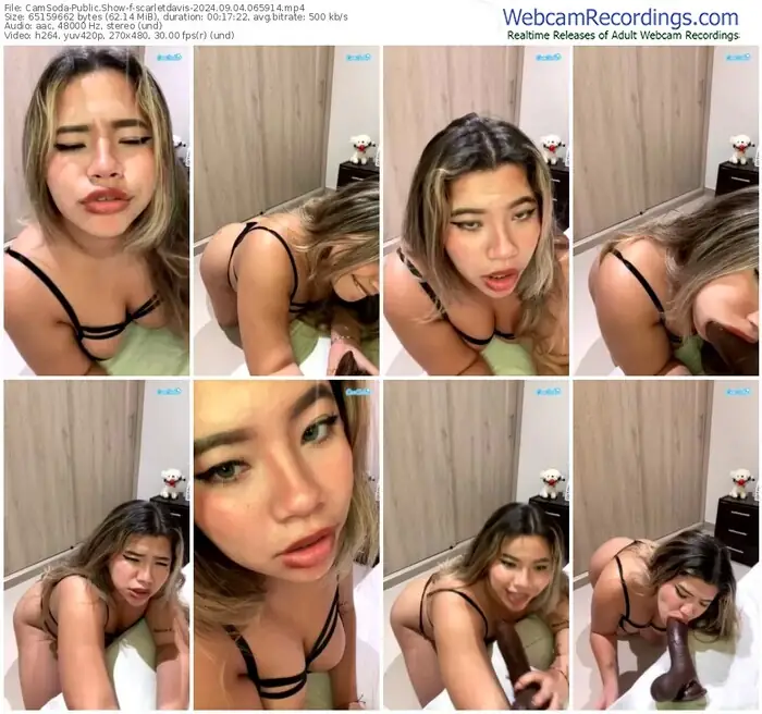 2024/09/04/camsoda-scarletdavis-06-59-14