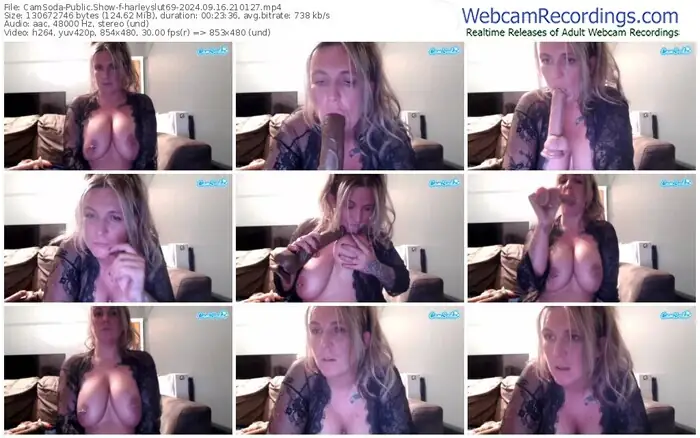 2024/09/16/camsoda-harleyslut69-21-01-27