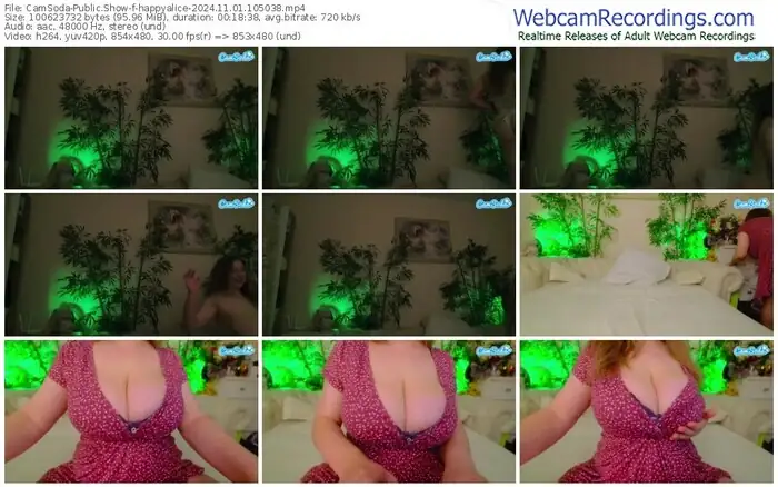 2024/11/01/camsoda-happyalice-10-50-38