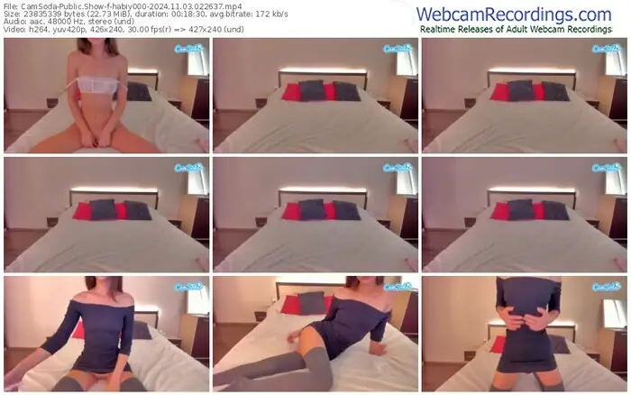 2024/11/03/camsoda-habiy000-02-26-37