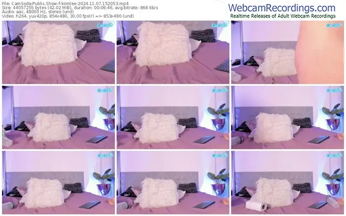 2024/11/07/camsoda-kiimlee-15-20-53