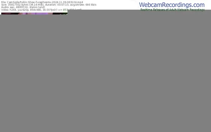 2024/11/09/camsoda-xiaphoenix-06-31-04