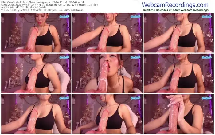 2024/11/16/camsoda-megansan-13-26-44