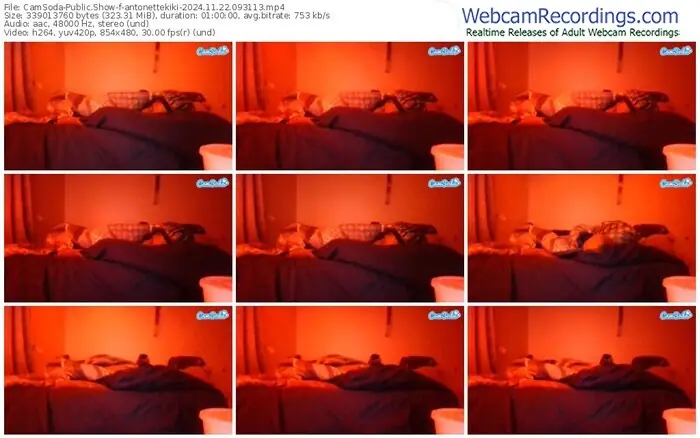 2024/11/22/camsoda-antonettekiki-09-31-13