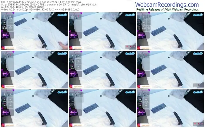 2024/11/25/camsoda-angie-roses-03-13-35