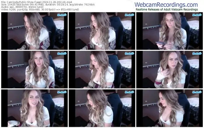 2024/11/26/camsoda-aapl-20-11-41
