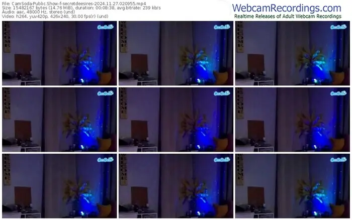2024/11/27/camsoda-secretdeesires-02-09-55