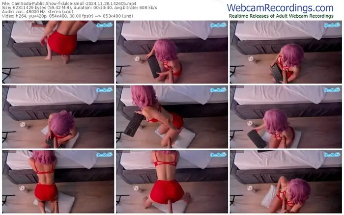 2024/11/28/camsoda-dulce-small-14-26-05
