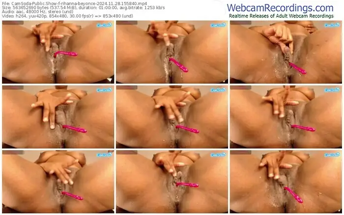 2024/11/28/camsoda-rihanna-beyonce-15-58-40