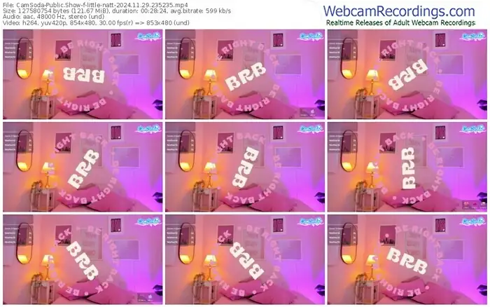 2024/11/29/camsoda-little-natt-23-52-35
