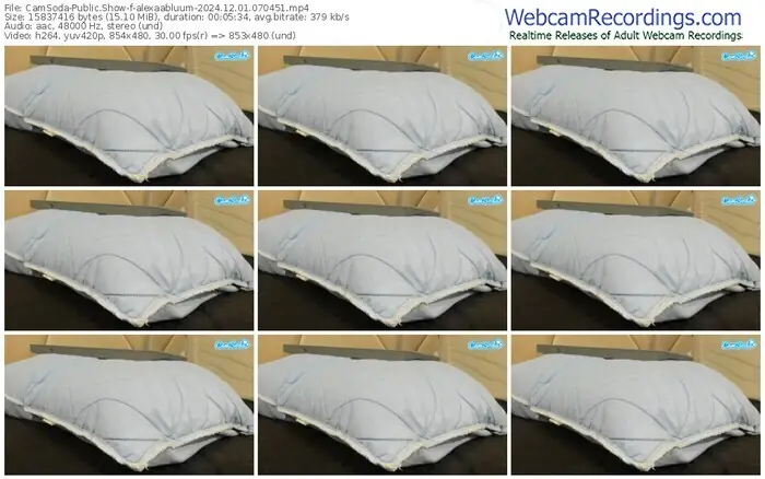 2024/12/01/camsoda-alexaabluum-07-04-51