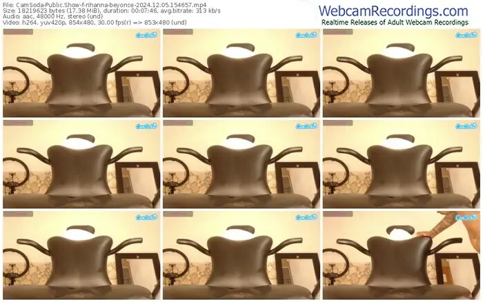 2024/12/05/camsoda-rihanna-beyonce-15-46-57