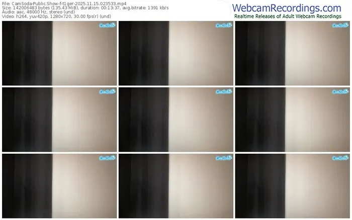 2025/11/15/camsoda-t1ger-02-35-33