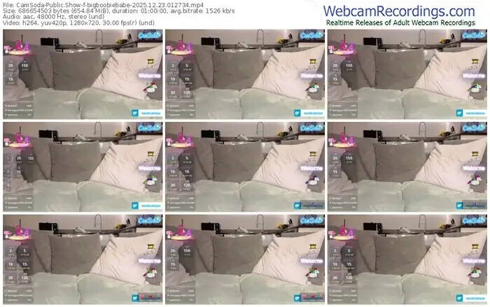 2025/12/23/camsoda-bigboobiebabe-01-27-34