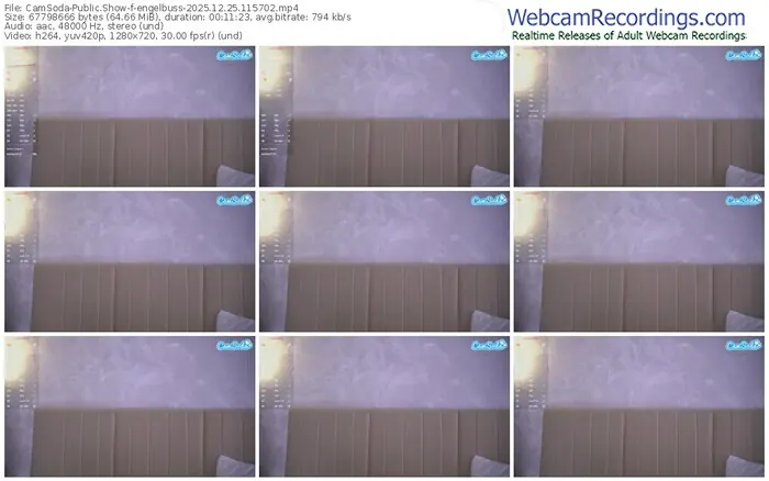 2025/12/25/camsoda-engelbuss-11-57-02