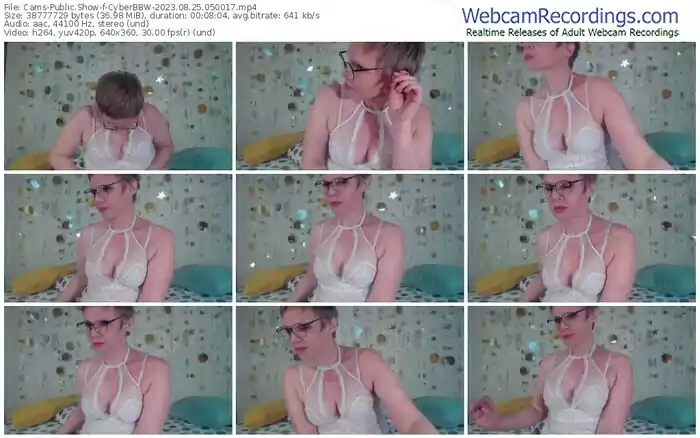 2023/08/25/cams-cyberbbw-05-00-17