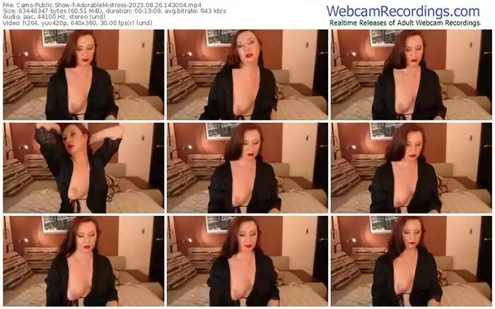 2023/08/26/cams-adorablemistress-14-30-04