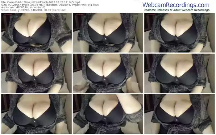 2023/08/28/cams-freshpeach-17-16-15