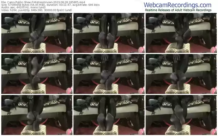 2023/08/28/cams-mistressvivian-18-58-05