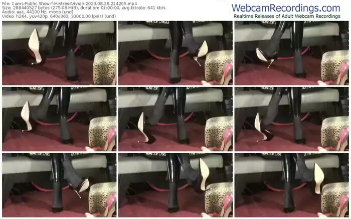 2023/08/28/cams-mistressvivian-21-42-05