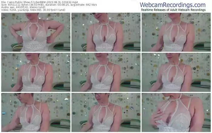 2023/08/31/cams-cyberbbw-03-34-32