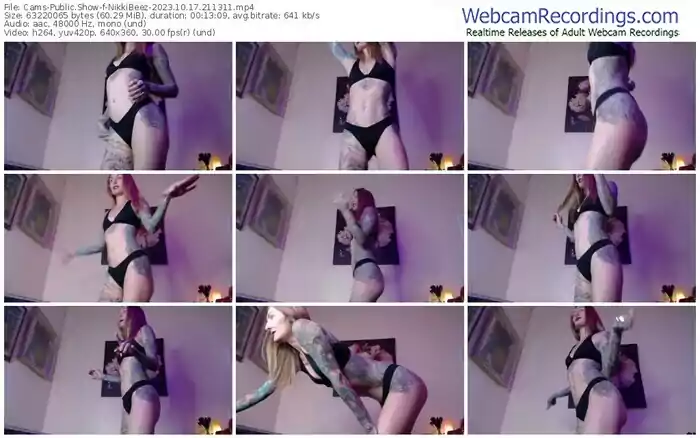 2023/10/17/cams-nikkibeez-21-13-11