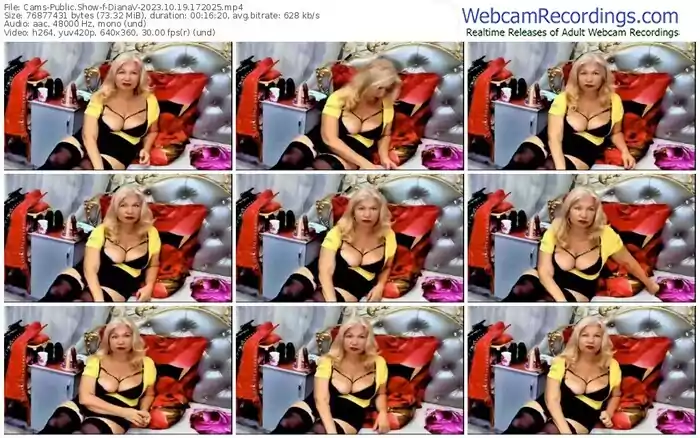 2023/10/19/cams-dianav-17-20-25