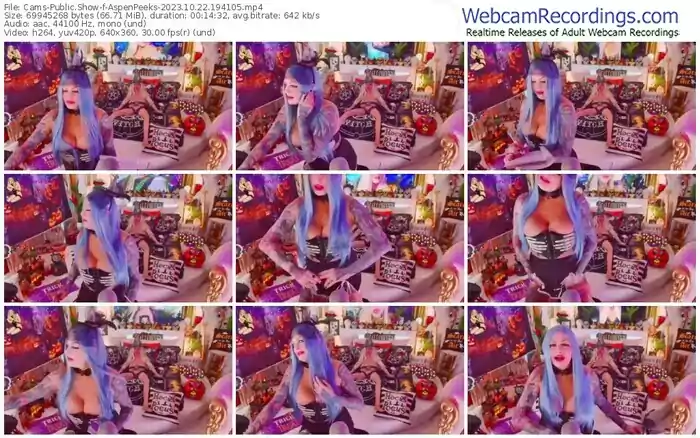 2023/10/22/cams-aspenpeeks-19-41-05