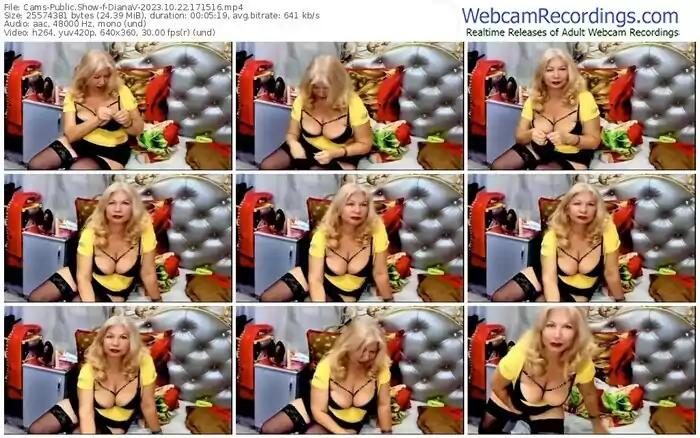 2023/10/22/cams-dianav-17-15-16