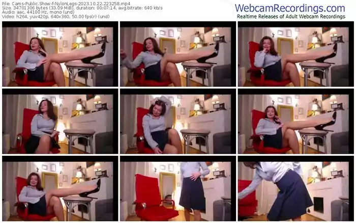 2023/10/22/cams-nylonlegs-22-32-58