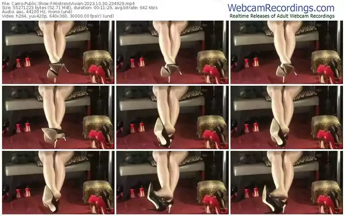 2023/10/30/cams-mistressvivian-23-49-29