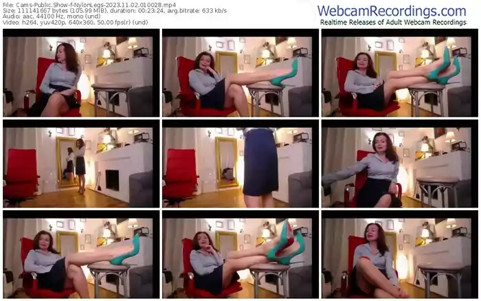 2023/11/02/cams-nylonlegs-01-00-28