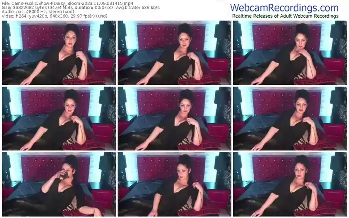 2023/11/09/cams-daisy_bloom-03-14-15