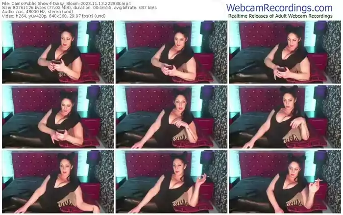 2023/11/13/cams-daisy_bloom-22-29-38