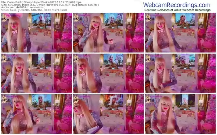 2023/11/14/cams-aspenpeeks-20-16-20