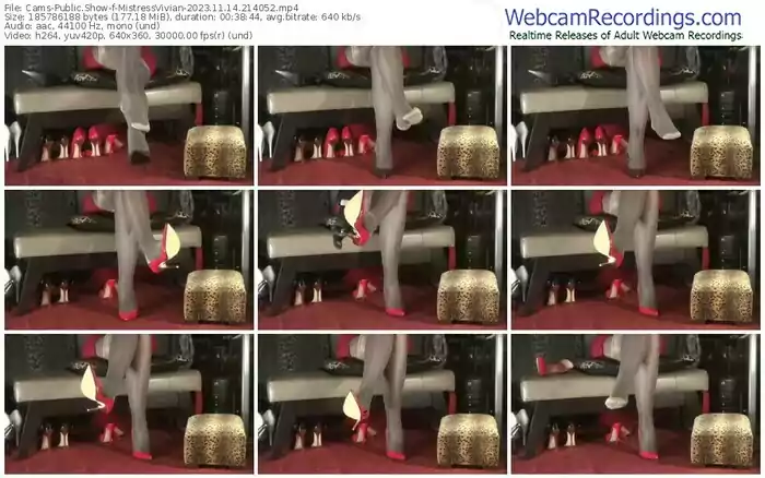 2023/11/14/cams-mistressvivian-21-40-52