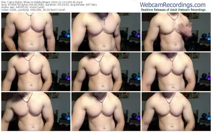 2023/11/14/cams-robbyshawz-10-51-41