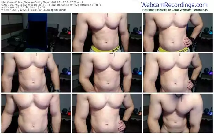 2023/11/20/cams-robbyshawz-11-23-28