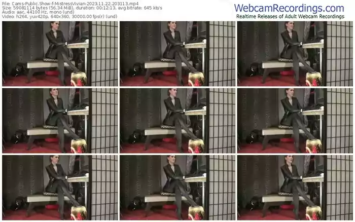 2023/11/22/cams-mistressvivian-20-31-13