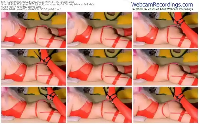 2023/11/25/cams-iamallyours-12-54-08