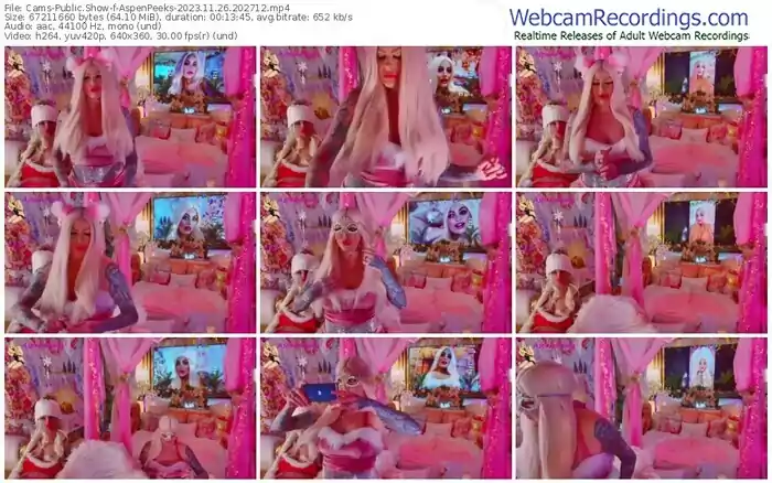 2023/11/26/cams-aspenpeeks-20-27-12