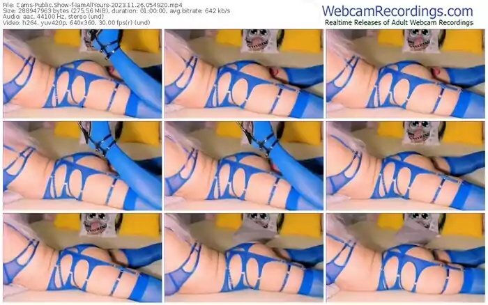 2023/11/26/cams-iamallyours-05-49-20